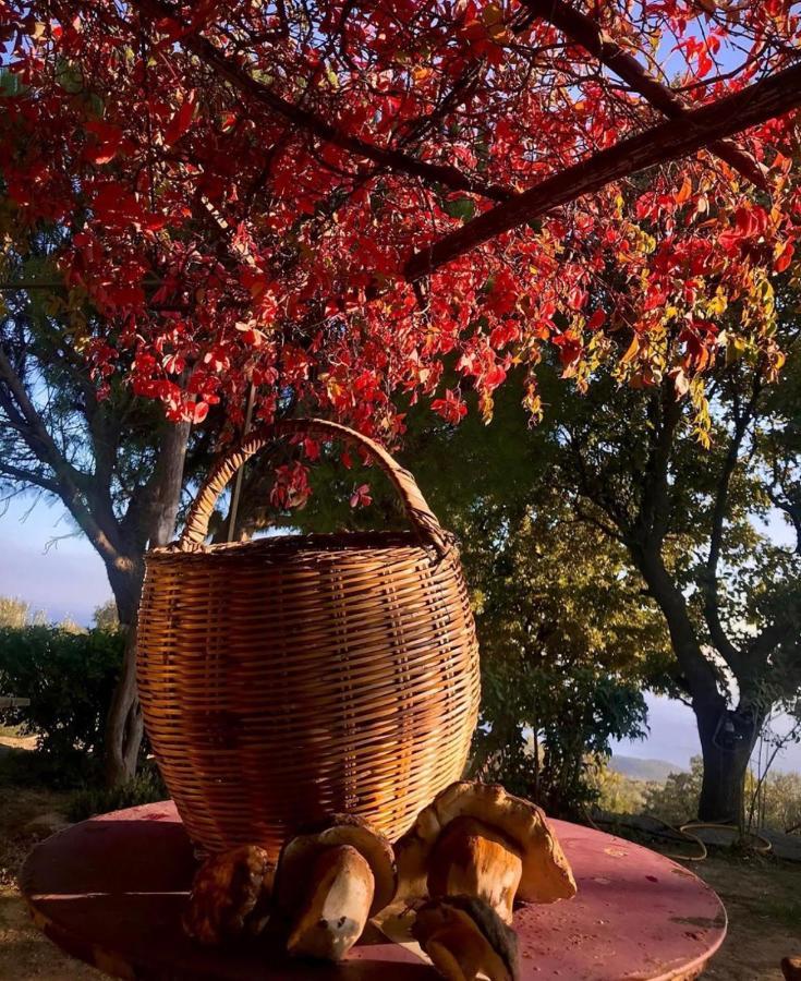 Toumba Eco Farm Guesthouses Plomari Zewnętrze zdjęcie