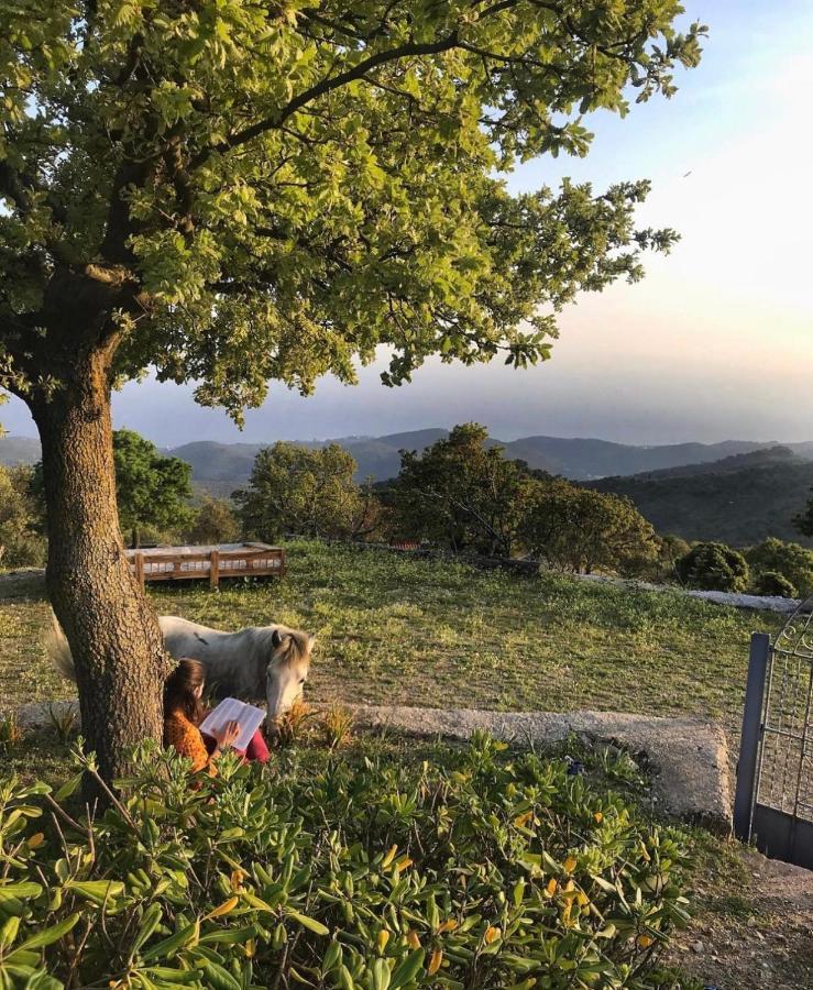 Toumba Eco Farm Guesthouses Plomari Zewnętrze zdjęcie