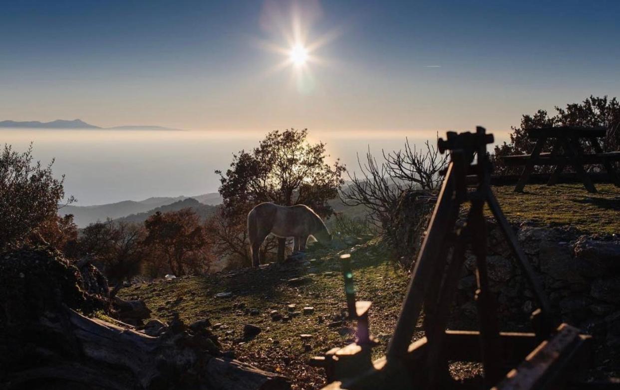 Toumba Eco Farm Guesthouses Plomari Zewnętrze zdjęcie
